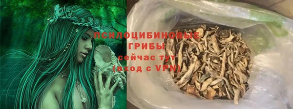 сатива Дмитровск